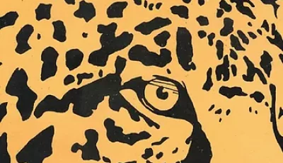 14b 14b