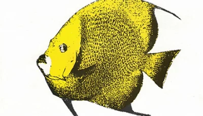 1b 1b