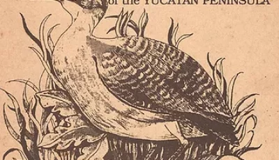 3 3
