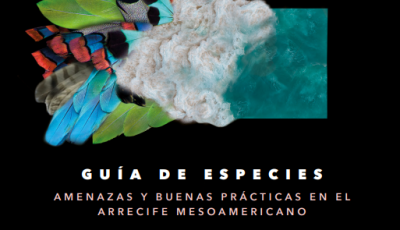 Guia-ESPECIES-Amigos-de-Sian-Kaan_2022-pdf Guia-ESPECIES-Amigos-de-Sian-Kaan_2022-pdf
