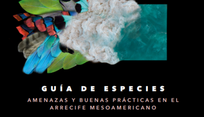 Guia-ESPECIES-Amigos-de-Sian-Kaan_2022-pdf